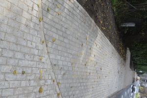 Odcinek nowego chodnika, ułożonego z kostki brukowej