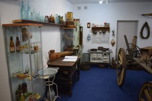 Reaktywacja Muzeum Dobrzyńskiego