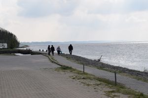 Sprzątanie skarpy wiślanej