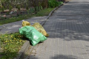 Sprzątanie skarpy wiślanej
