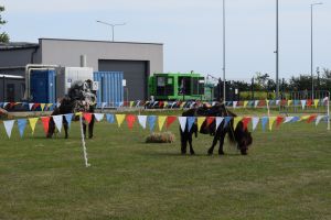 Dożynki gminno-parafialne w Dobrzyniu nad Wisłą
