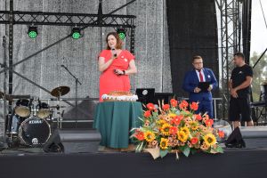 Dożynki gminno-parafialne w Dobrzyniu nad Wisłą