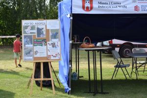 Dożynki gminno-parafialne w Dobrzyniu nad Wisłą