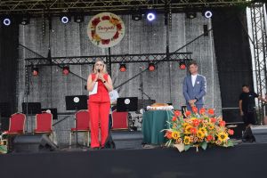 Dożynki gminno-parafialne w Dobrzyniu nad Wisłą