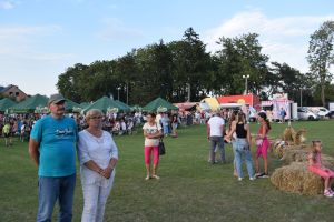 Dożynki gminno-parafialne w Dobrzyniu nad Wisłą
