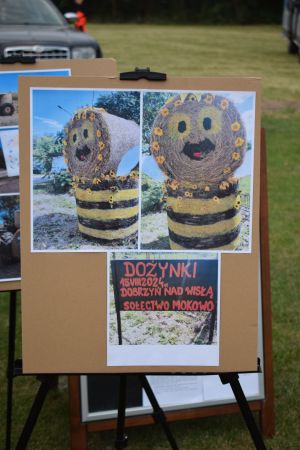 Dożynki gminno-parafialne w Dobrzyniu nad Wisłą
