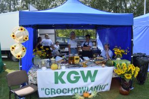 Dożynki gminno-parafialne w Dobrzyniu nad Wisłą