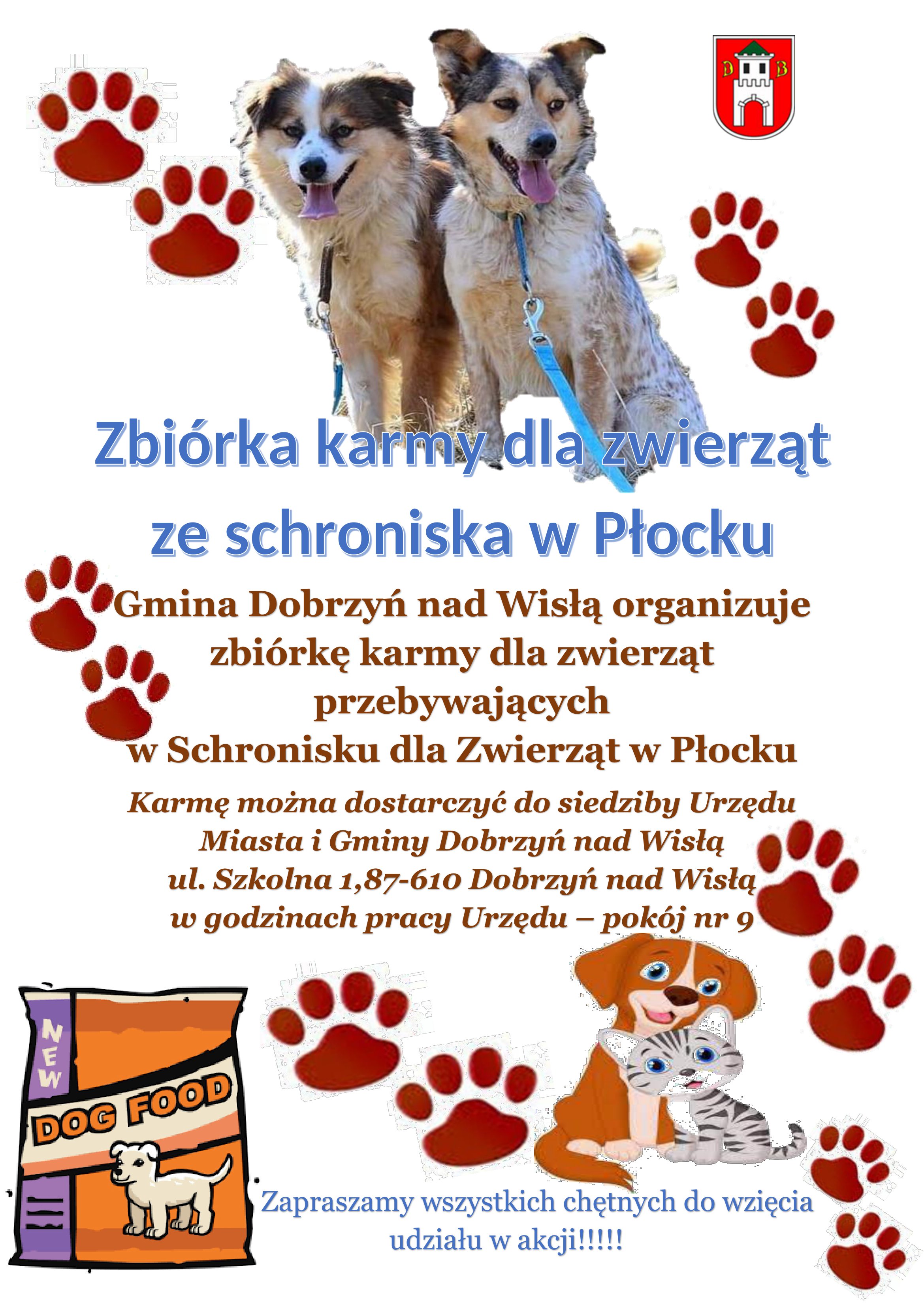 Zbiórka karmy dla zwierząt ze schroniska w Płocku