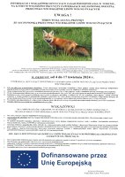Informacje_i_wskazowki.pdf